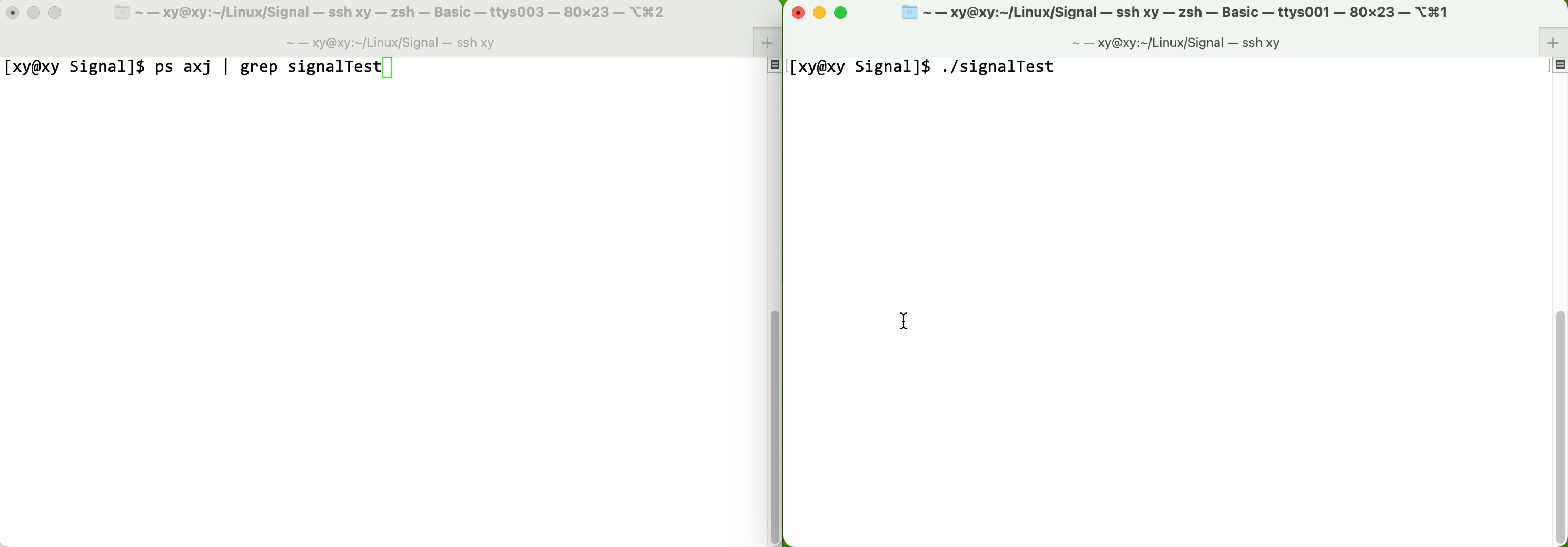 屏幕录制 2023-03-31 23.13.00